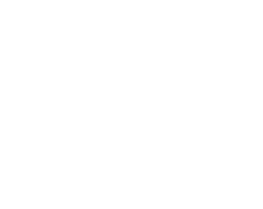 Quadniaga Solutions